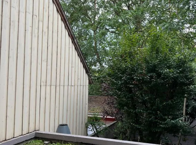 Le K - *