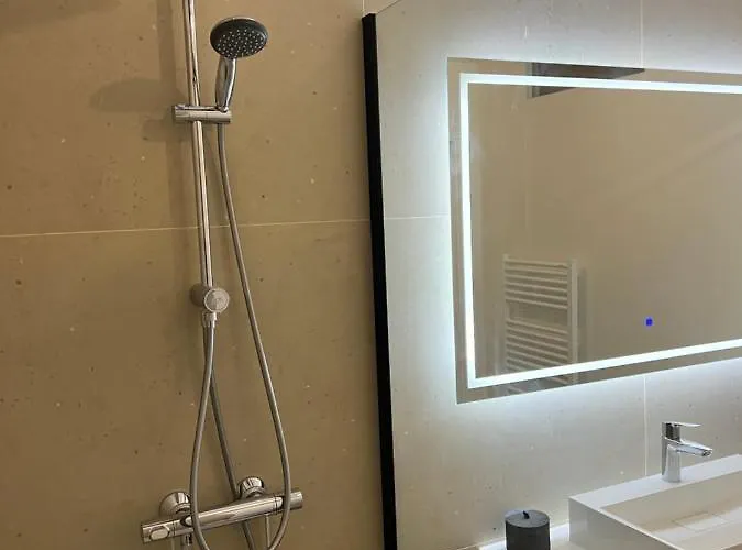 Le K - Lägenhet Strasbourg